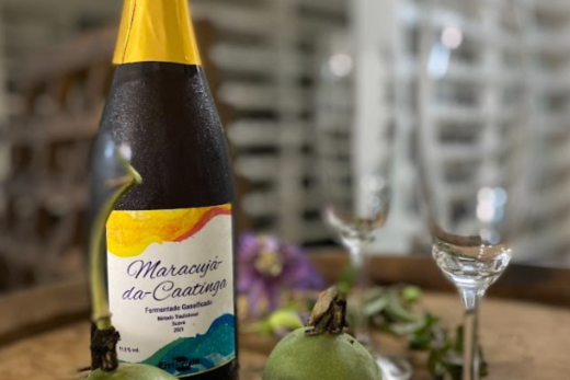 MARACUJÁ-DA-CAATINGA: uma fruta silvestre com potencial para bebidas inovadoras